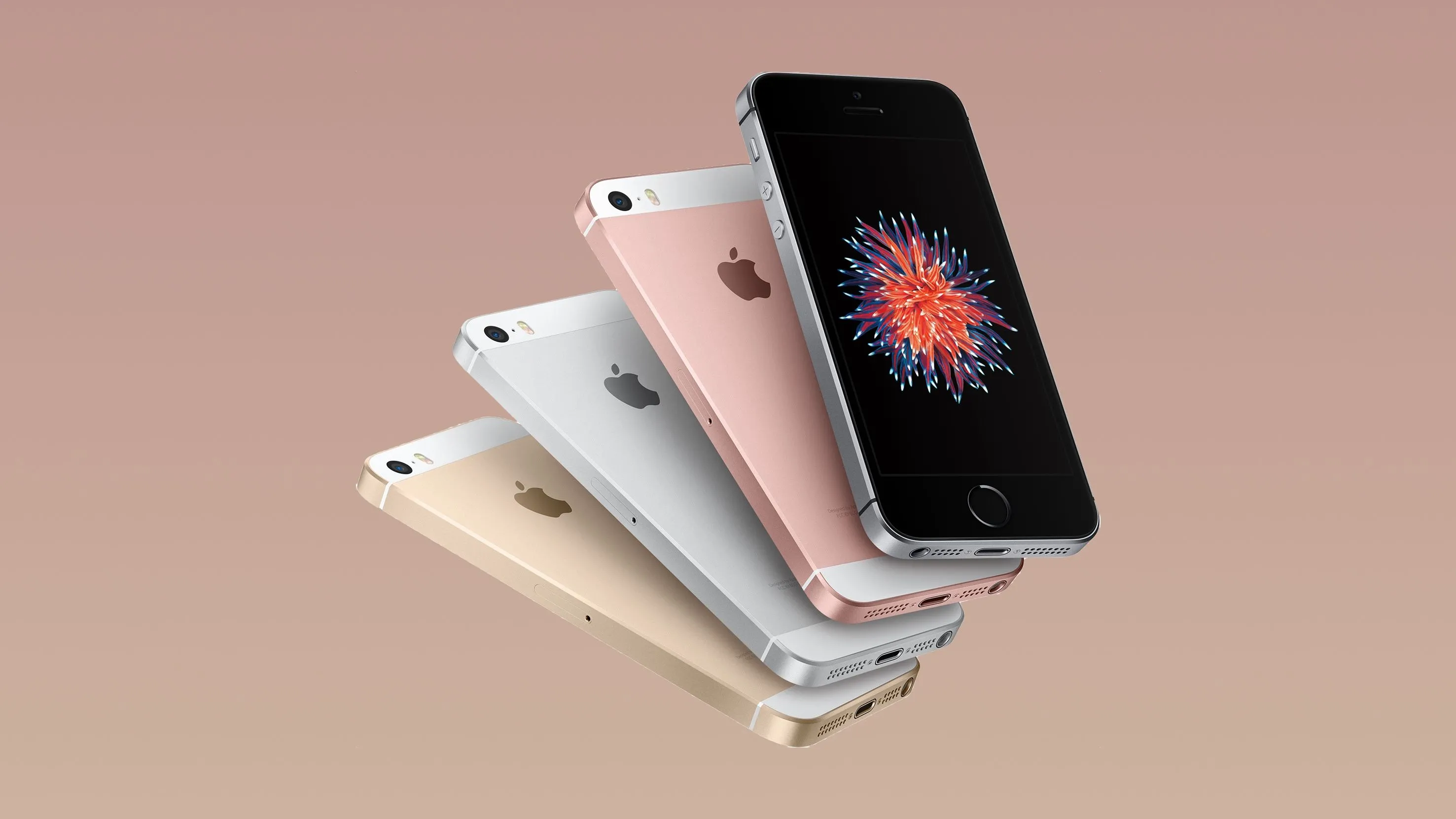 Bốn chiếc iPhone SE đời đầu năm 2016 với các tùy chọn màu sắc khác nhau