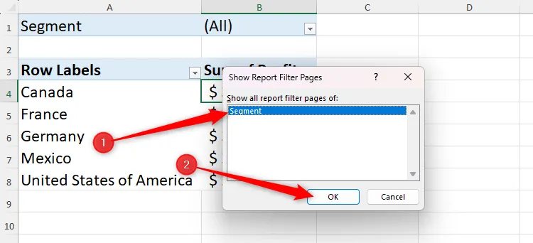 Chọn trường &quot;Segment&quot; trong hộp thoại Show Report Filter Pages để Excel tạo các trang báo cáo riêng cho từng phân khúc.