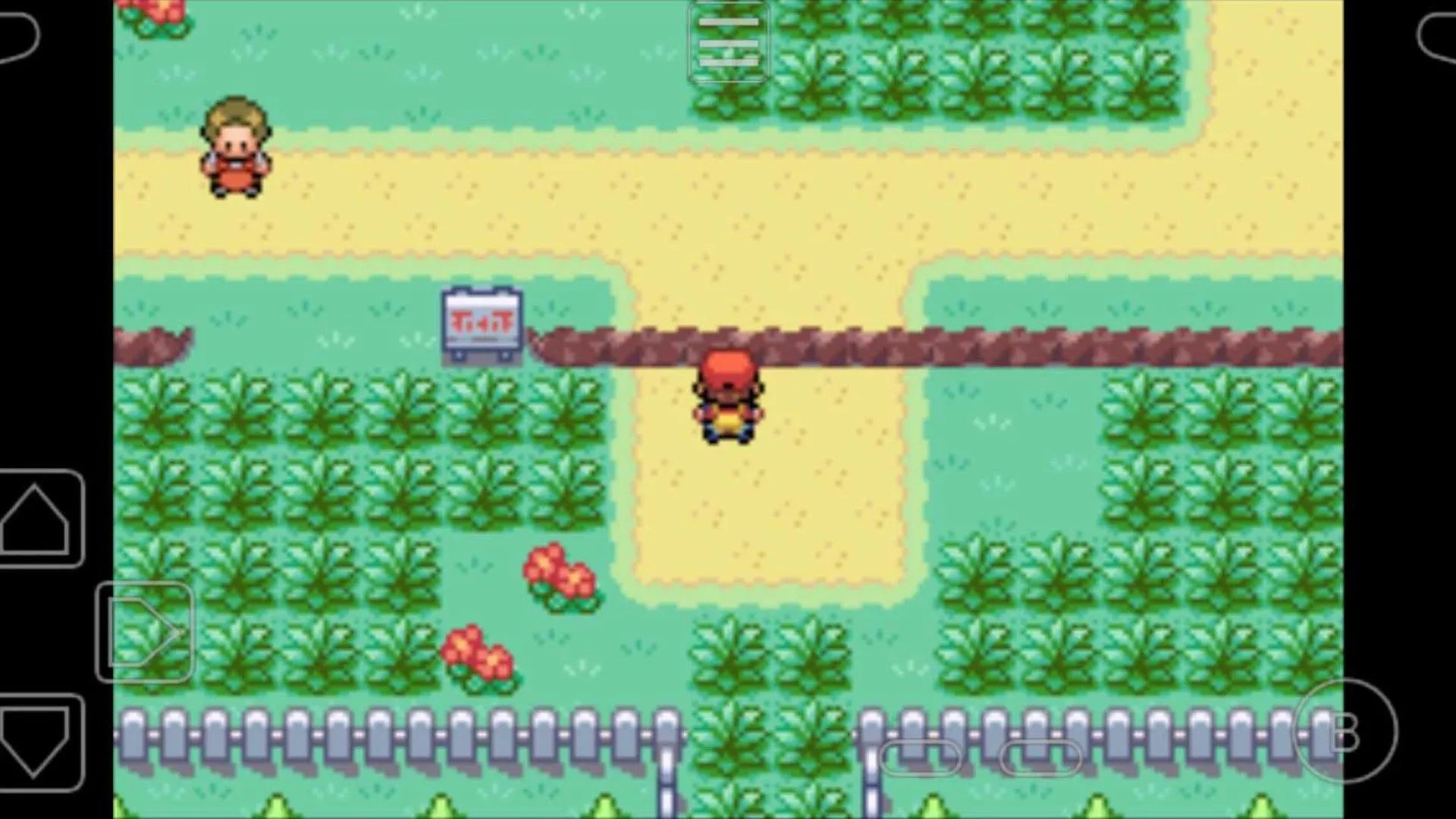 Giao diện game Pokémon Fire Red khi người chơi di chuyển trên một tuyến đường.
