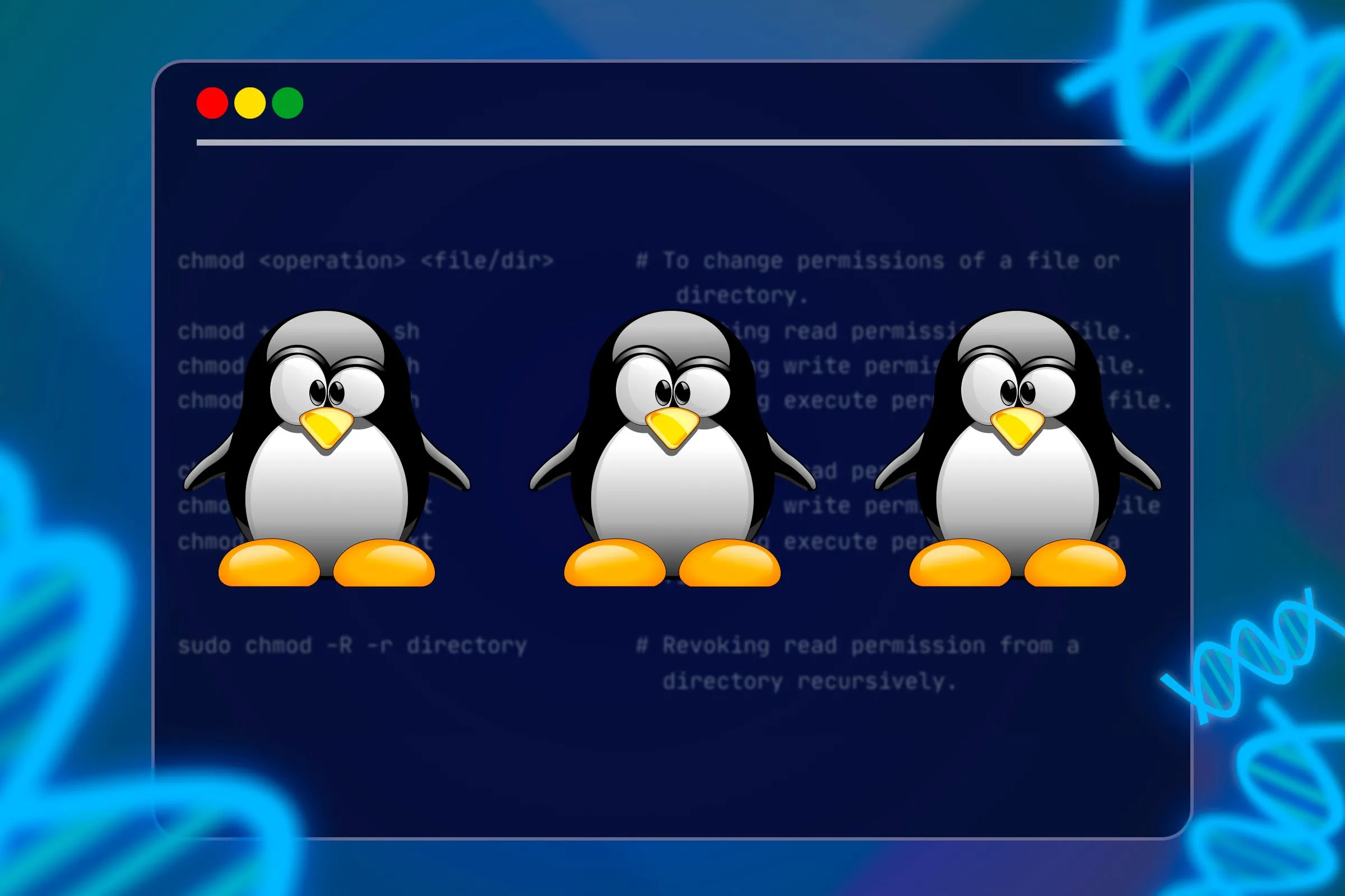 Giao diện Terminal Linux với các biểu tượng Tux mascot và icon sao chép, đại diện cho cộng đồng và phát triển mã nguồn mở
