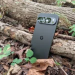 Google Pixel 9 Pro XL chụp cận cảnh giữa lá cây và cành khô