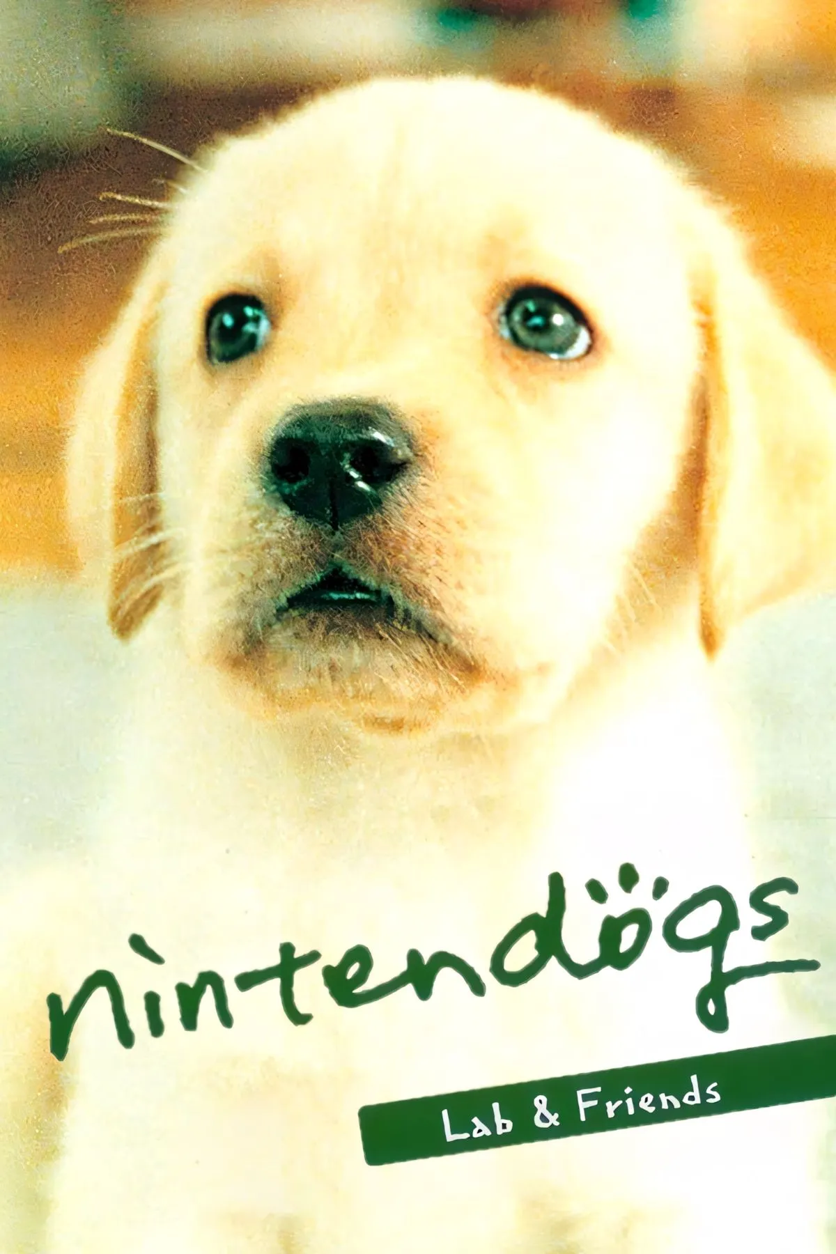 Hình ảnh các chú chó dễ thương từ game Nintendogs