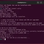 Màn hình terminal hiển thị quá trình cài đặt công cụ xclip trên Ubuntu 24.04 LTS bằng lệnh sudo apt install xclip.