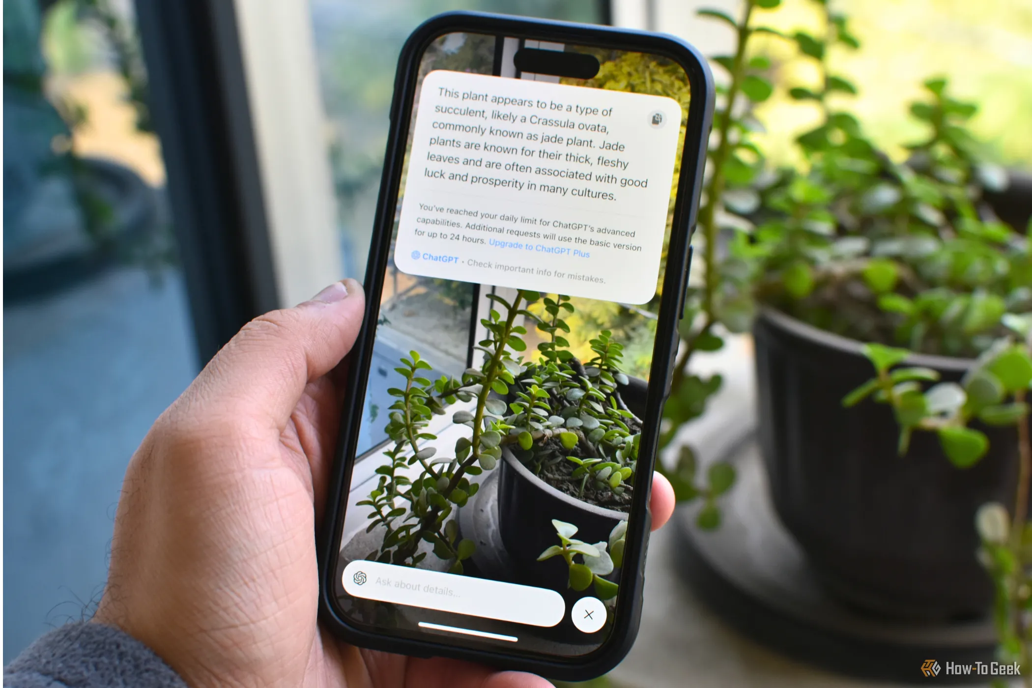 Một chiếc iPhone 16 Plus với tính năng Visual Intelligence trên màn hình.