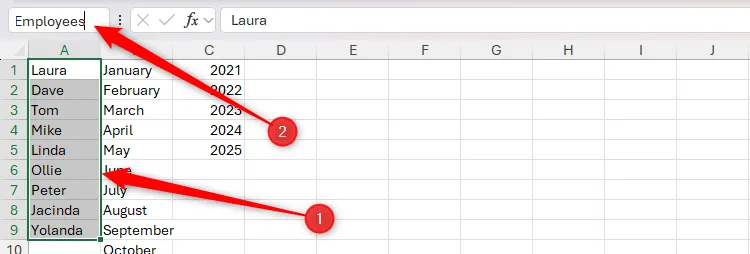 Một vùng ô chứa tên nhân viên được chọn và đặt tên là &quot;Employees&quot; trong Name Box của Excel để dễ tham chiếu.