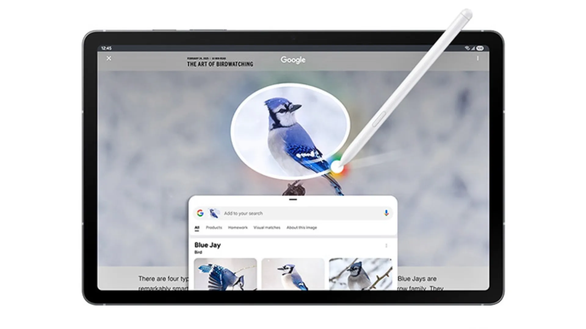 Tính năng Circle to Search trên One UI 7.0 của Galaxy Tab S10 FE