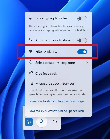 Tùy chọn &quot;Lọc từ ngữ thô tục&quot; (Filter Profanity) trong cài đặt của Voice Typing trên Windows 11 Insider Preview Build 26120.3941.