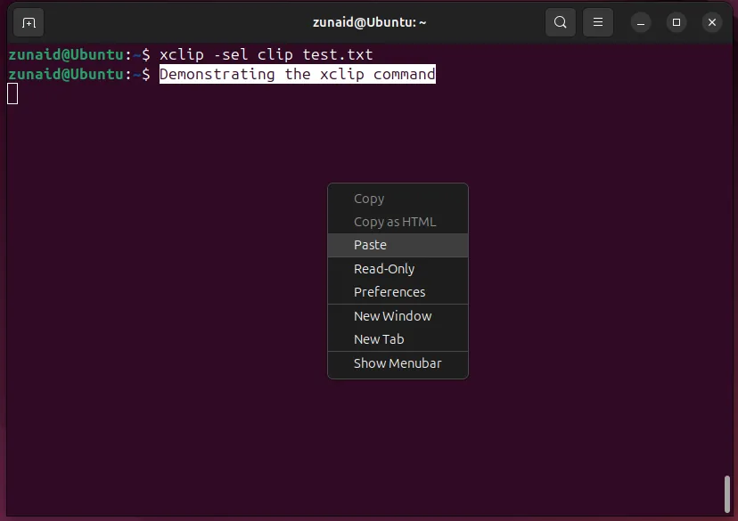 Ví dụ minh họa việc sao chép nội dung file test.txt vào system clipboard bằng lệnh xclip -sel clip test.txt trên terminal Linux.